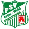 Grün-Weiß Stadtroda II