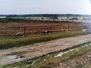 SVM-History: Unser Platzanlage Anfang der 2000er Jahre