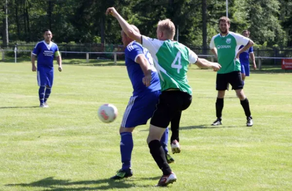 29. Spieltag: SV Grün-Weiß Tanna : SV Moßbach