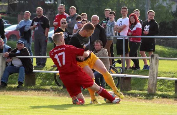 24. Spieltag: FSV Schleiz : SV Moßbach