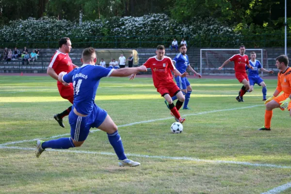 19. ST: SV Hermsdorf - SV Moßbach 0:2 (0:2)