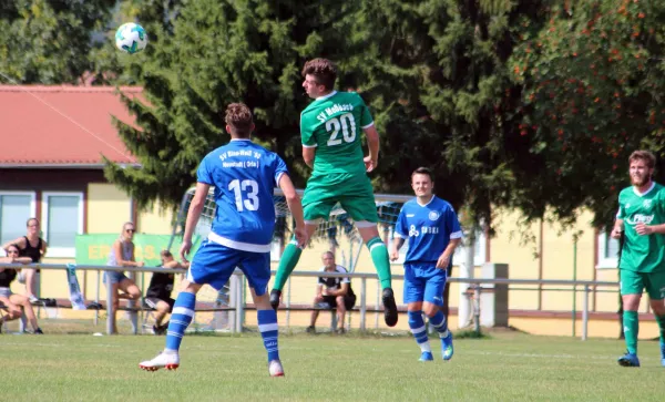 Pokal 1. Hauptr., Neustadt II - Moßbach 1:0 (1:0)