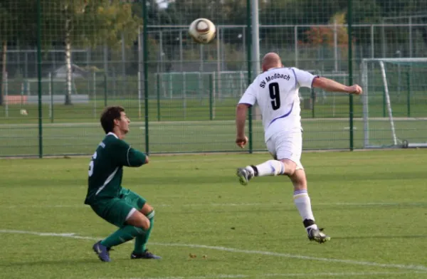 8. Spieltag SV Jenapharm Jena : SV Moßbach