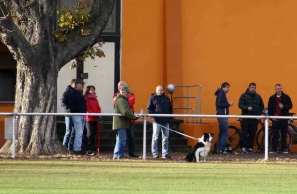 11. Spieltag SV Jena-Zwätzen : SV Moßbach