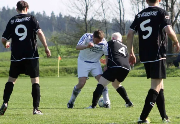 25. Spieltag SV Moßbach : SV Hermsdorf