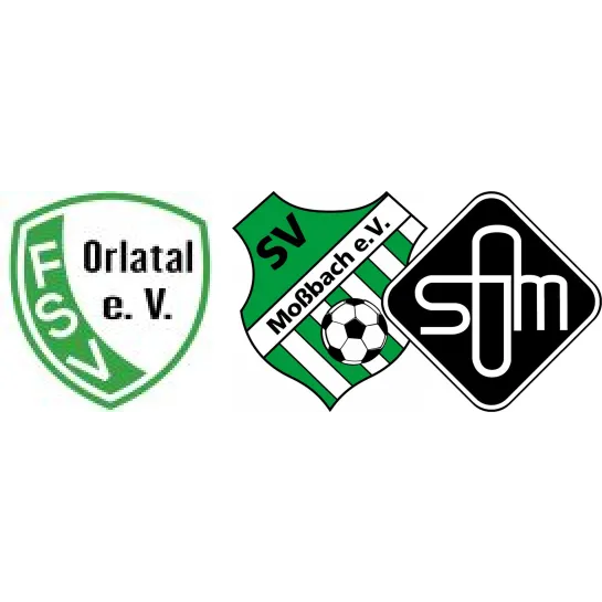 (1M) FSV Orlatal II <span class="nowrap bold mx-1">1 : 1</span> SG SV Moßbach