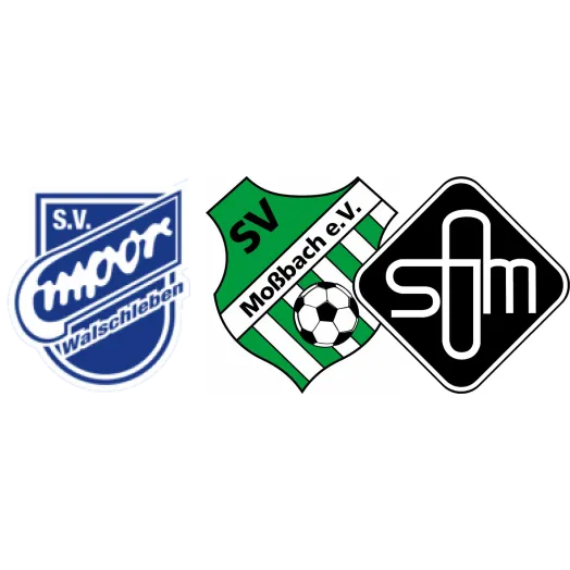 (1M) SV Empor Walschleben <span class="nowrap bold mx-1">5 : 2</span> SG SV Moßbach