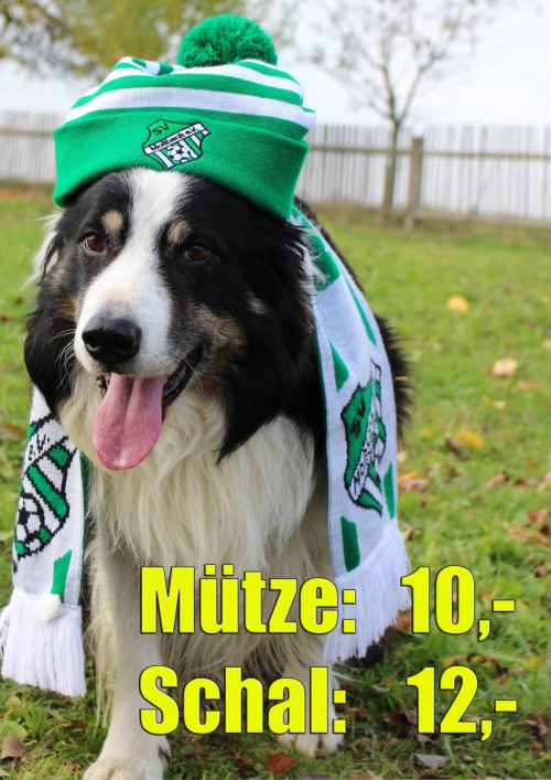 Winterliche Fanaccessoires sind noch zu haben...