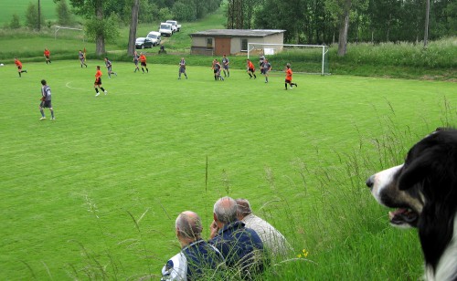 Pokal SV Gräfenwarth – SV Moßbach (Samstag 13.00 Uhr)