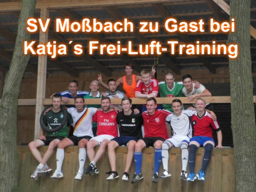 Power Workout im Wald