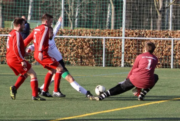 Testspiel TSV Bad Blankenburg : SV Moßbach