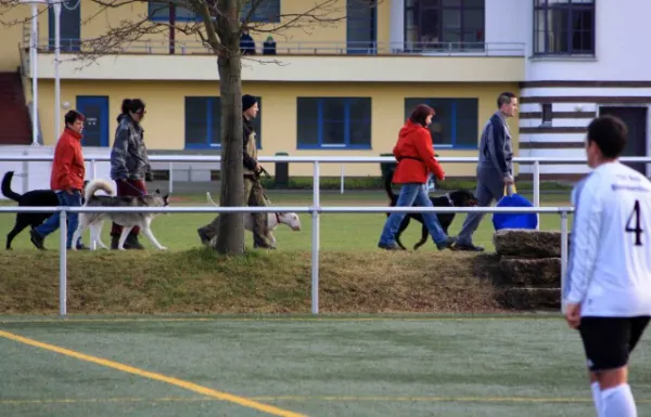 Testspiel TSV Bad Blankenburg : SV Moßbach