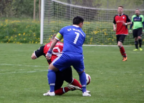 23. Spieltag: SV Moßbach : SV Hermsdorf