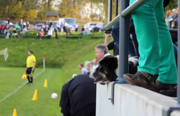 9. Spieltag: SG Rosenth.Blankenstein : SV Moßbach