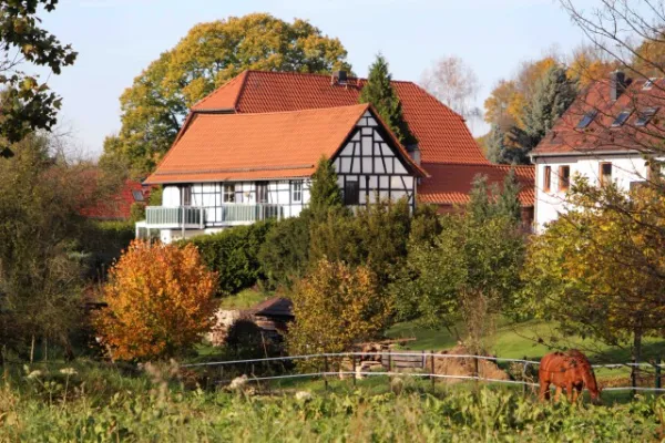 11. Spieltag: SV Gleistal : SV Moßbach