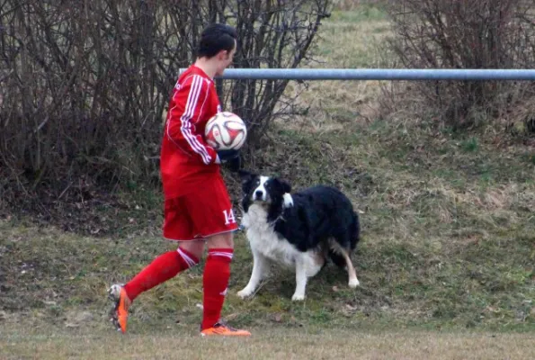 19. Spieltag: SV Moßbach : SG Oettersdorf/Tegau