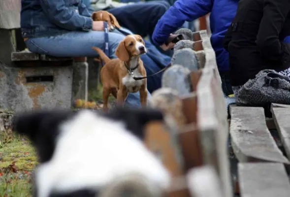 11. Spieltag SV Moßbach : FSV Orlatal