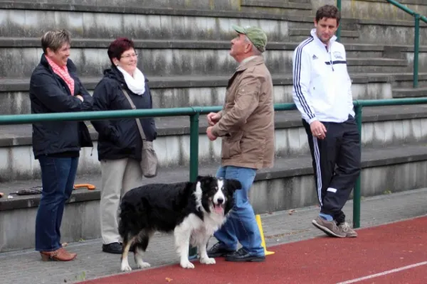25. Spieltag: SV Hermsdorf : SV Moßbach