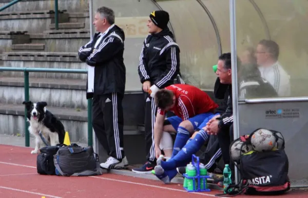 25. Spieltag: SV Hermsdorf : SV Moßbach