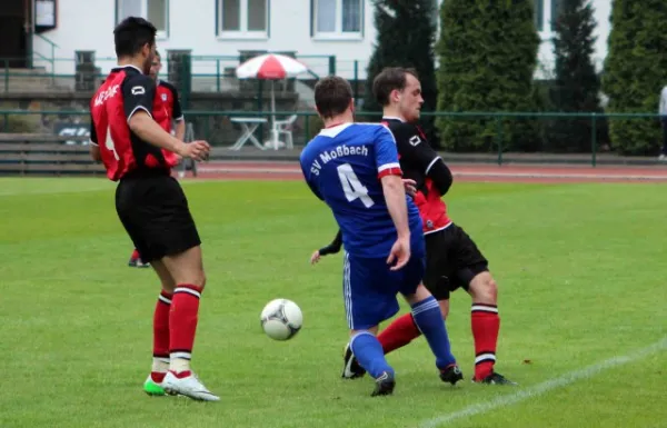 25. Spieltag: SV Hermsdorf : SV Moßbach
