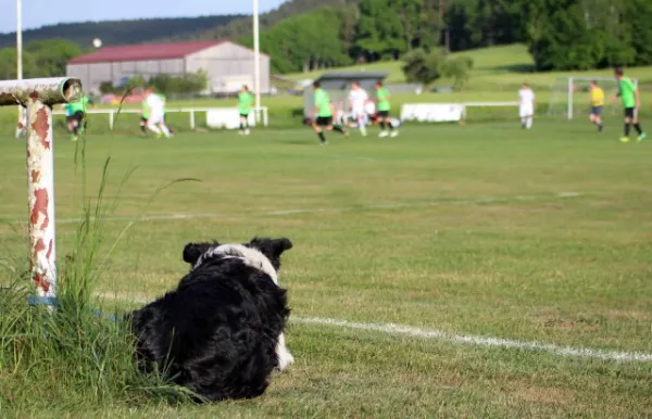 20. Spieltag: FV Rodatal Zöllnitz : SV Moßbach