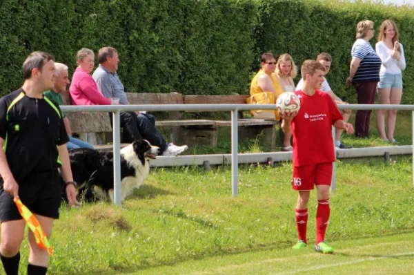 30. Spieltag: SV Moßbach : FSV Hirschberg