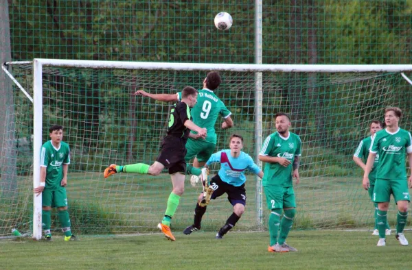 16. Spieltag: FV Rodatal Zöllnitz : SV Moßbach