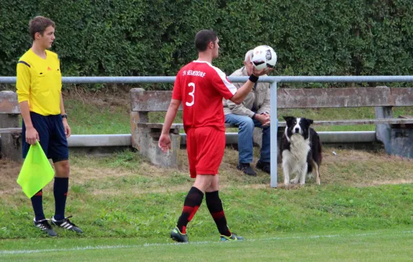 7. ST: SV Moßbach - SV Hermsdorf 3:2 (2:1)