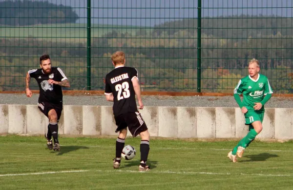 10. ST: SV Moßbach - SV Gleistal 90 5:4 (2:1)