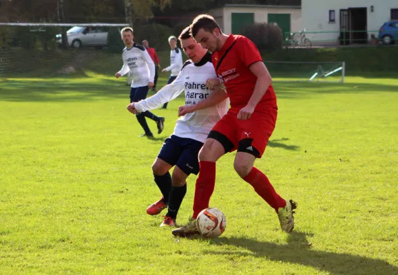 11. ST: Grün-Weiß Triptis - Moßbach II 2:0 (1:0)