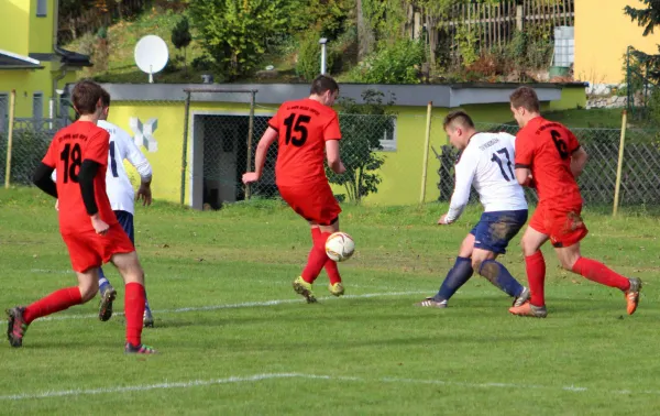 11. ST: Grün-Weiß Triptis - Moßbach II 2:0 (1:0)