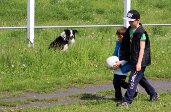 23. ST: SV Gleistal 90 - SV Moßbach 5:0 (2:0)