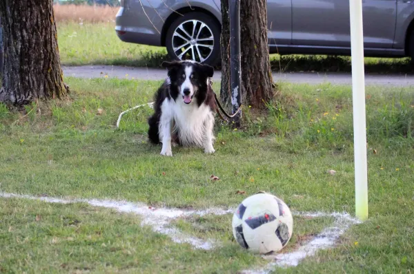 Test: SV Moßbach - TSG Kaulsdorf 3:2 (2:1)