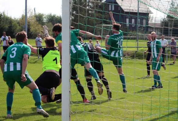 22. ST: SV Moßbach - SV Grün-Weiß Tanna 1:1 (0:1)