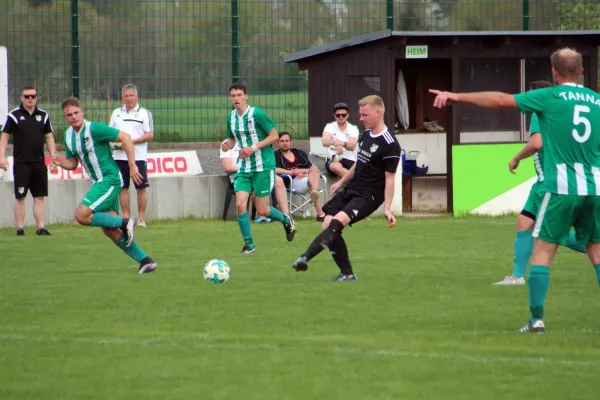 22. ST: SV Moßbach - SV Grün-Weiß Tanna 1:1 (0:1)