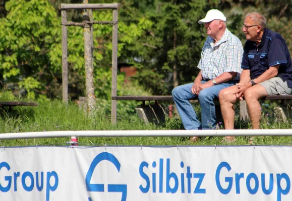 25. ST: Elstertal Silbitz - SV Moßbach  3:1 (2:0)