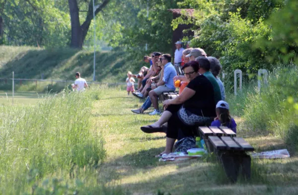 25. ST: Elstertal Silbitz - SV Moßbach  3:1 (2:0)