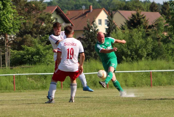 25. ST: Elstertal Silbitz - SV Moßbach  3:1 (2:0)