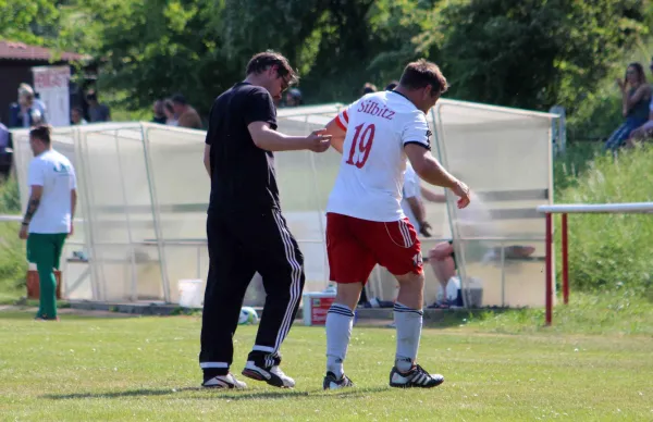 25. ST: Elstertal Silbitz - SV Moßbach  3:1 (2:0)