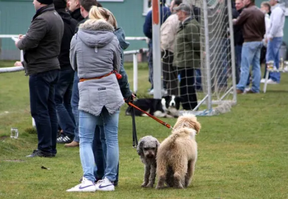 17. Spieltag SV Rodatal/Zöllnitz : SV Moßbach
