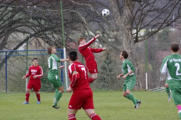 SV Roschütz : SV Moßbach