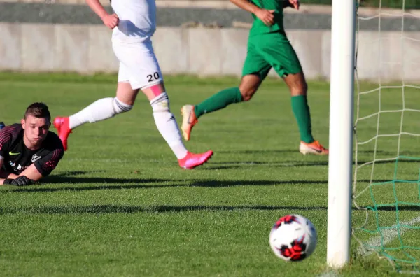 Test SVM I - VfB Mühltroff 3:1 (2:0)