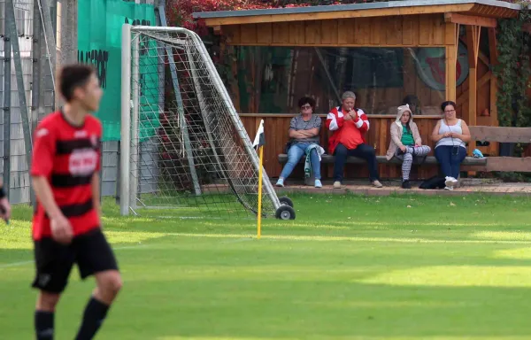 4. ST: SV Jena-Zwätzen - SV Moßbach 5:1 (1:1)