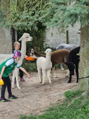 SVM-Fußballferienlager im August 2021