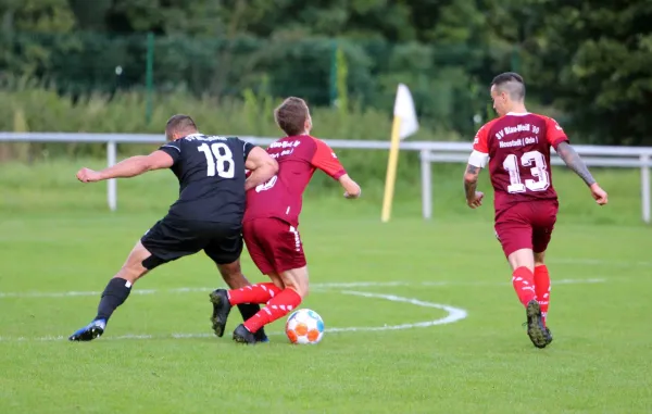 3. ST: SV BW Neustadt/O - SV Moßbach 3:1 (0:0)