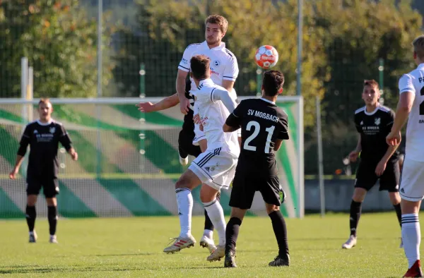 Achtelfinale Landespokal SVM - Bad Langensalza 2:5