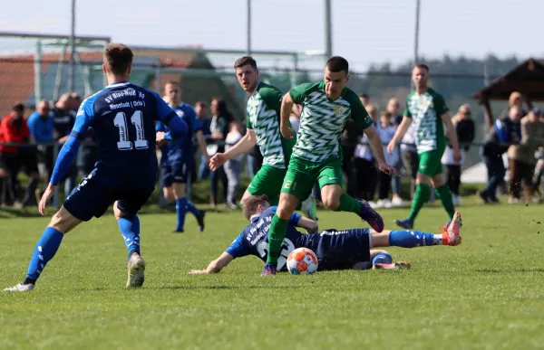 16. ST: SV Moßbach - BW Neustadt/O 3:3 (0:1)