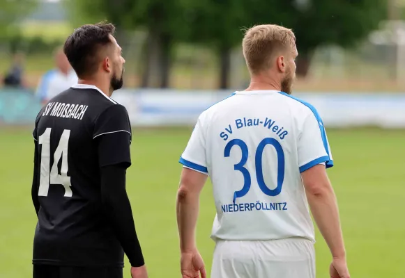 22. ST: BW Niederpöllnitz - SV Moßbach 1:2 (1:2)