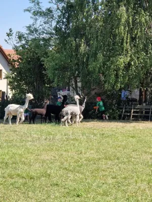 Moßbacher Feriencamp 2022