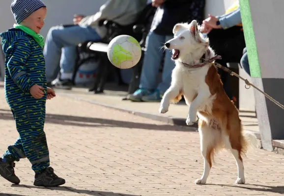 8. ST: SV Moßbach - VfR B. Lobenstein II 2:0 (2:0)